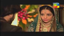 Janam Jali Episode 5 Promo HUM TV Drama (22 May 2014)