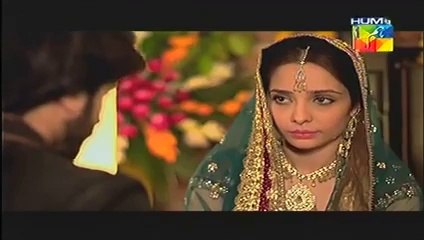 Janam Jali Episode 5 Promo HUM TV Drama (22 May 2014)