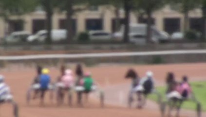 QUALIFICATION DE CAPUCINE DE NACRE