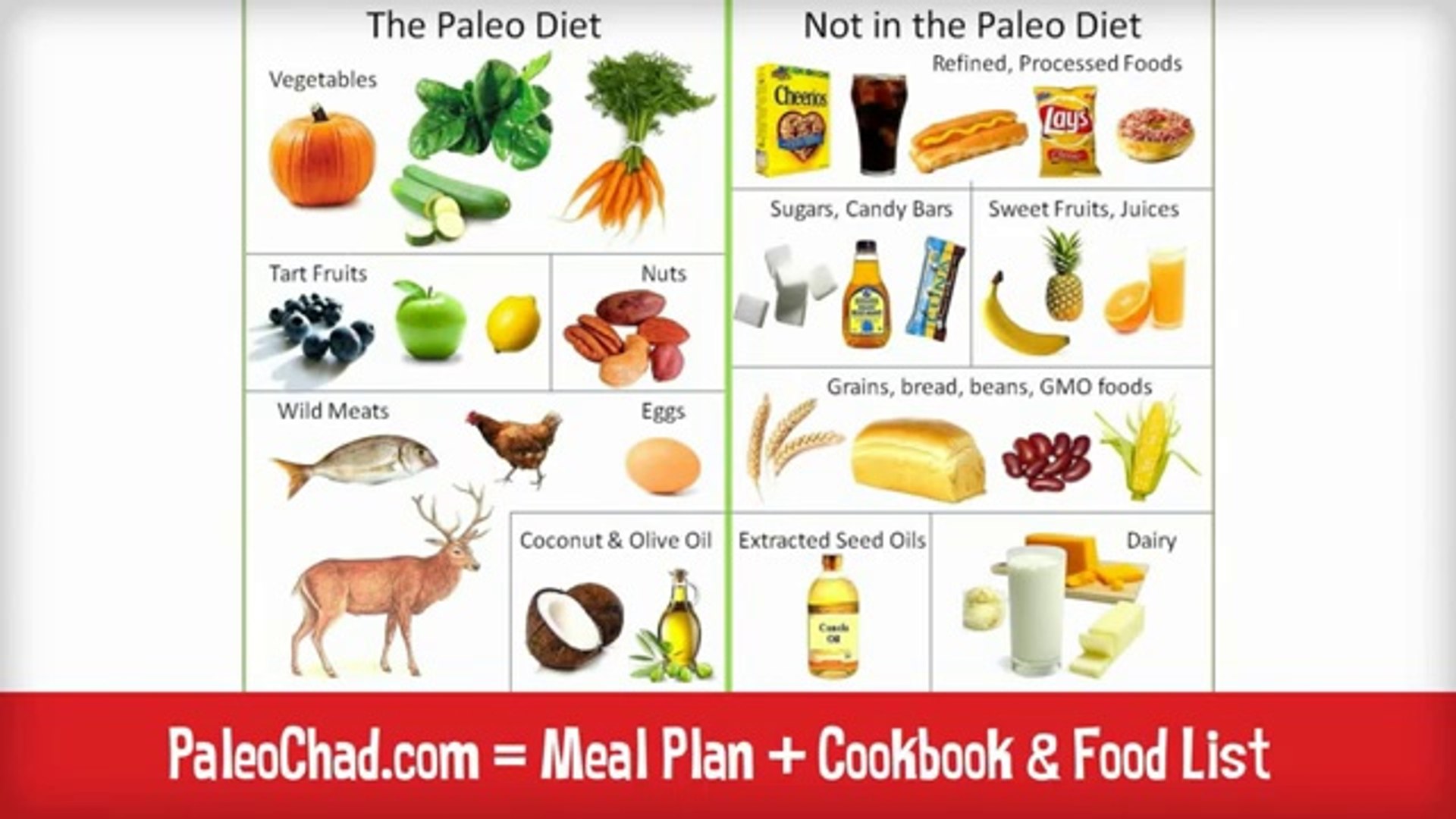 The Complete Paleo Diet Food List