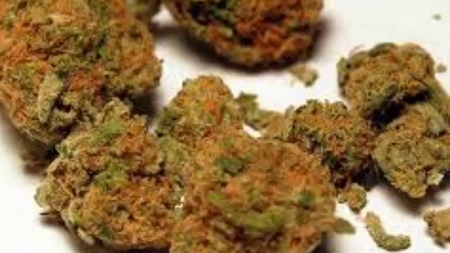 egochems.com,buy 25i-Nbome USA,25i-Nbome online USA,25i-Nbome UK,AUSTRALIA,CANADA,EUROPE