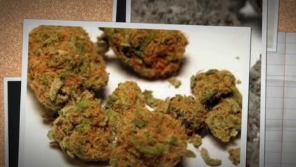 www.egochems.com,Oxycodone,DimethocaINE,4-aco-dmt Oxycotin,USA,UK,AUSTRALIA,EUROPE