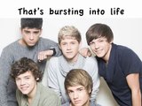One Direction- Chasing Cars (Lyrics   Pics)