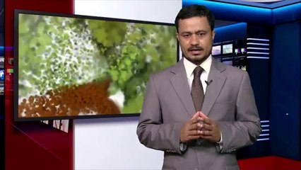 أراكان اليوم أخبار باللغة الأوردية-ANA Arakan Headlines in URDU language -21_05_2014