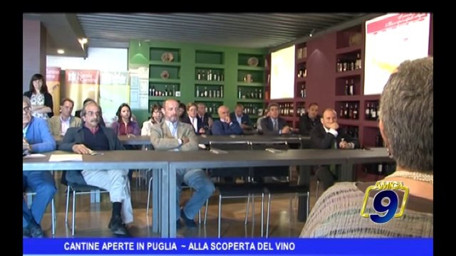 Cantine aperte in Puglia | Alla scoperta del vino