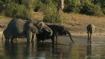 Philip Cottrell Forensic Wealth Management