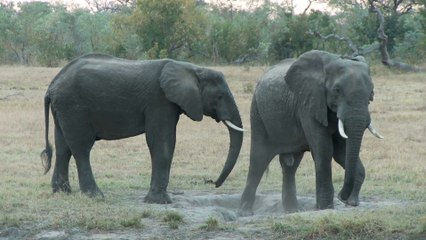 Philip Cottrell Forensic Wealth Management