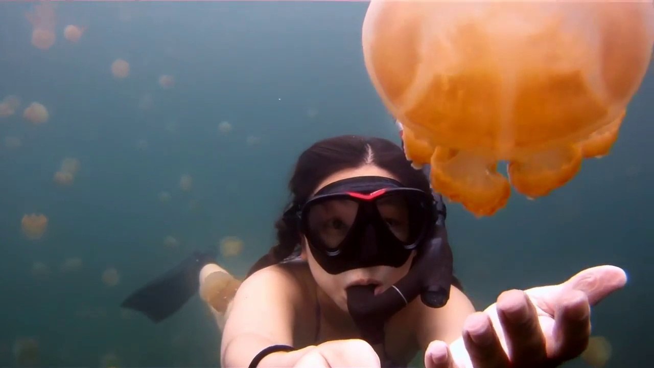 Perdu dans un lac plein de Méduses Jellyfish. Magique!!