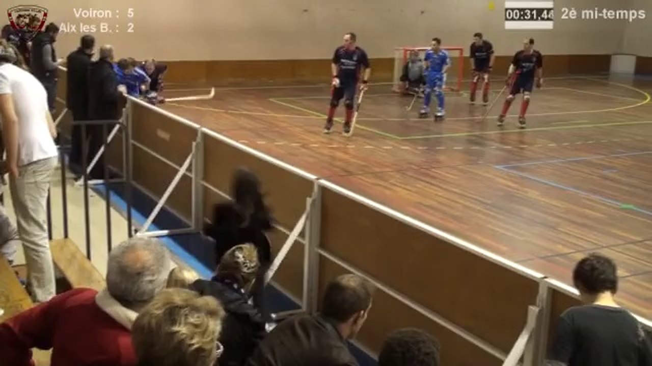 Rink-Hockey Nationale 3 - 2013/2014 - Voiron / Aix Les Bains