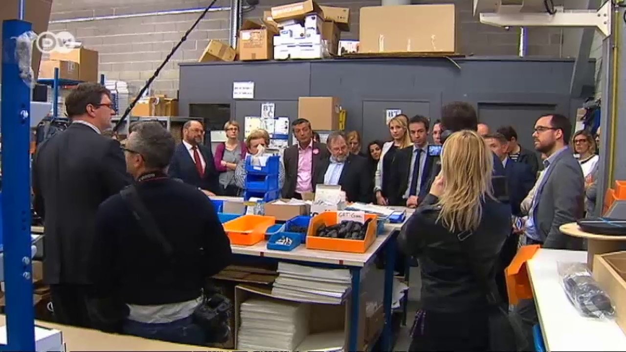 European Elections: Opponents and allies | European Journal