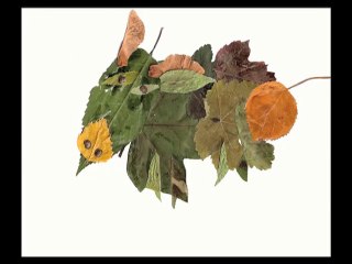 Exposition "Pantins"