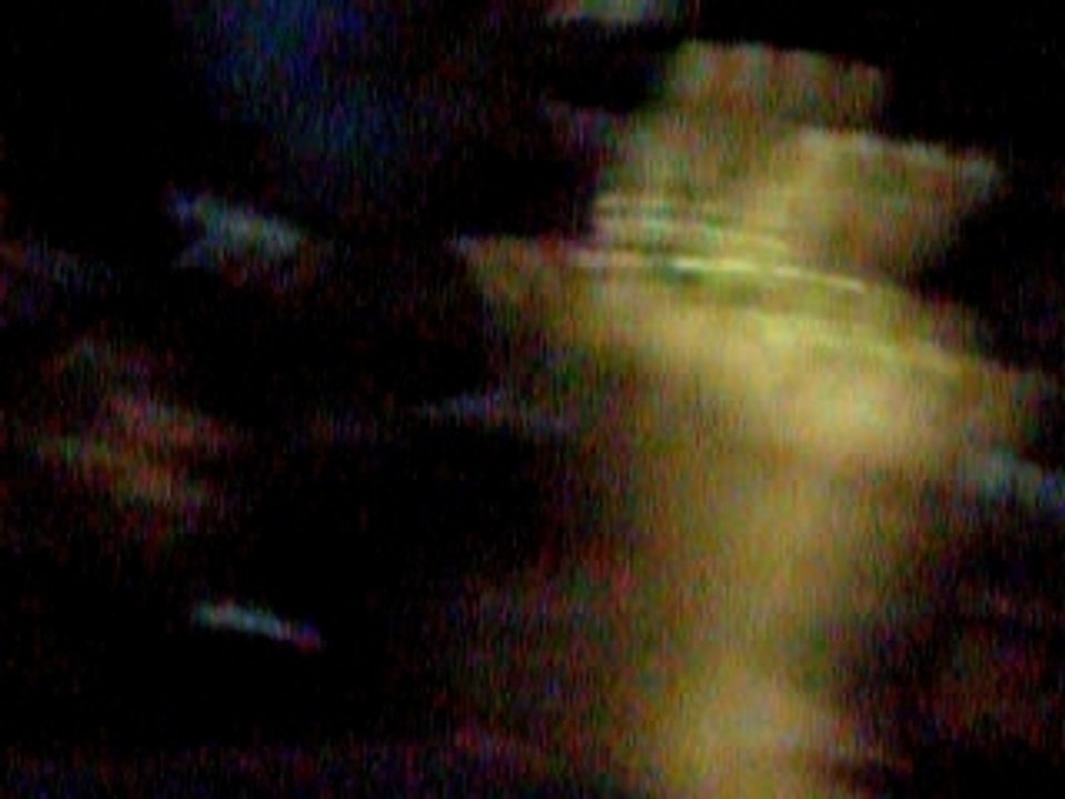 DSCN2916