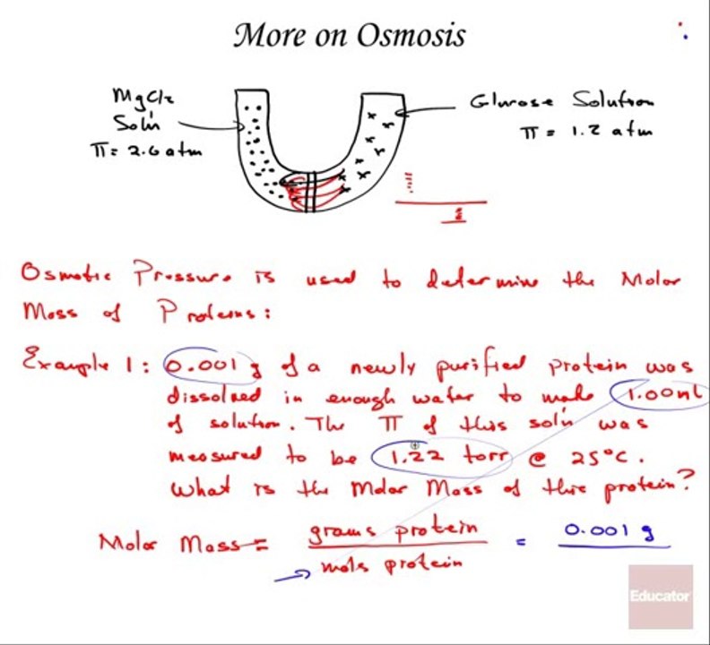 Osmosis, Biochemistry - Educator.com
