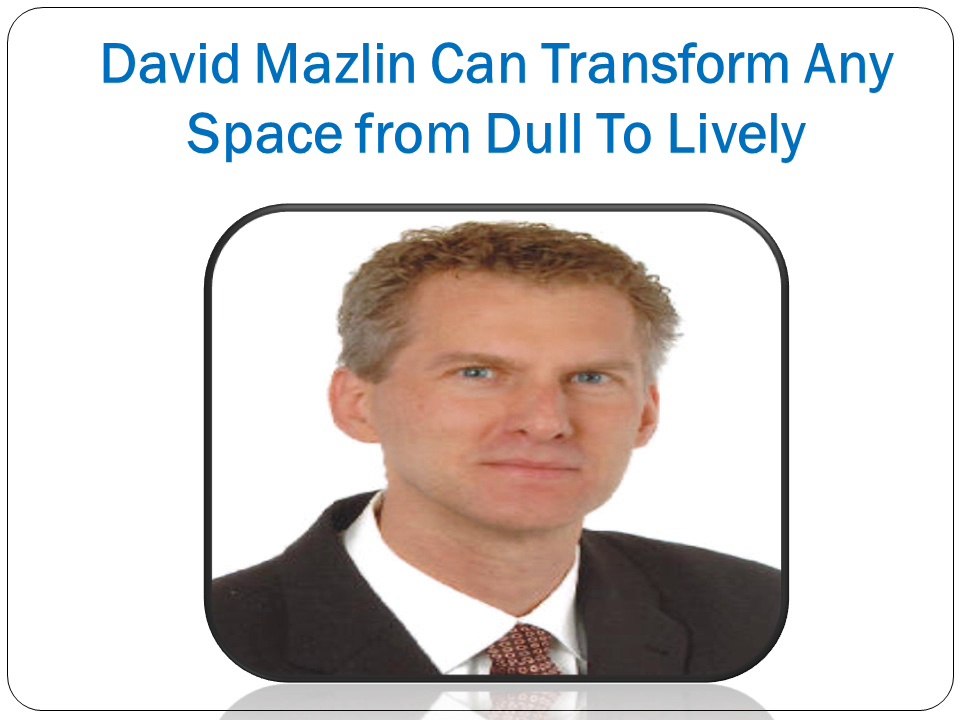 David Mazlin - Interior Designer