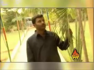 Har Shaam Udaas - Shaman Ali Mirali