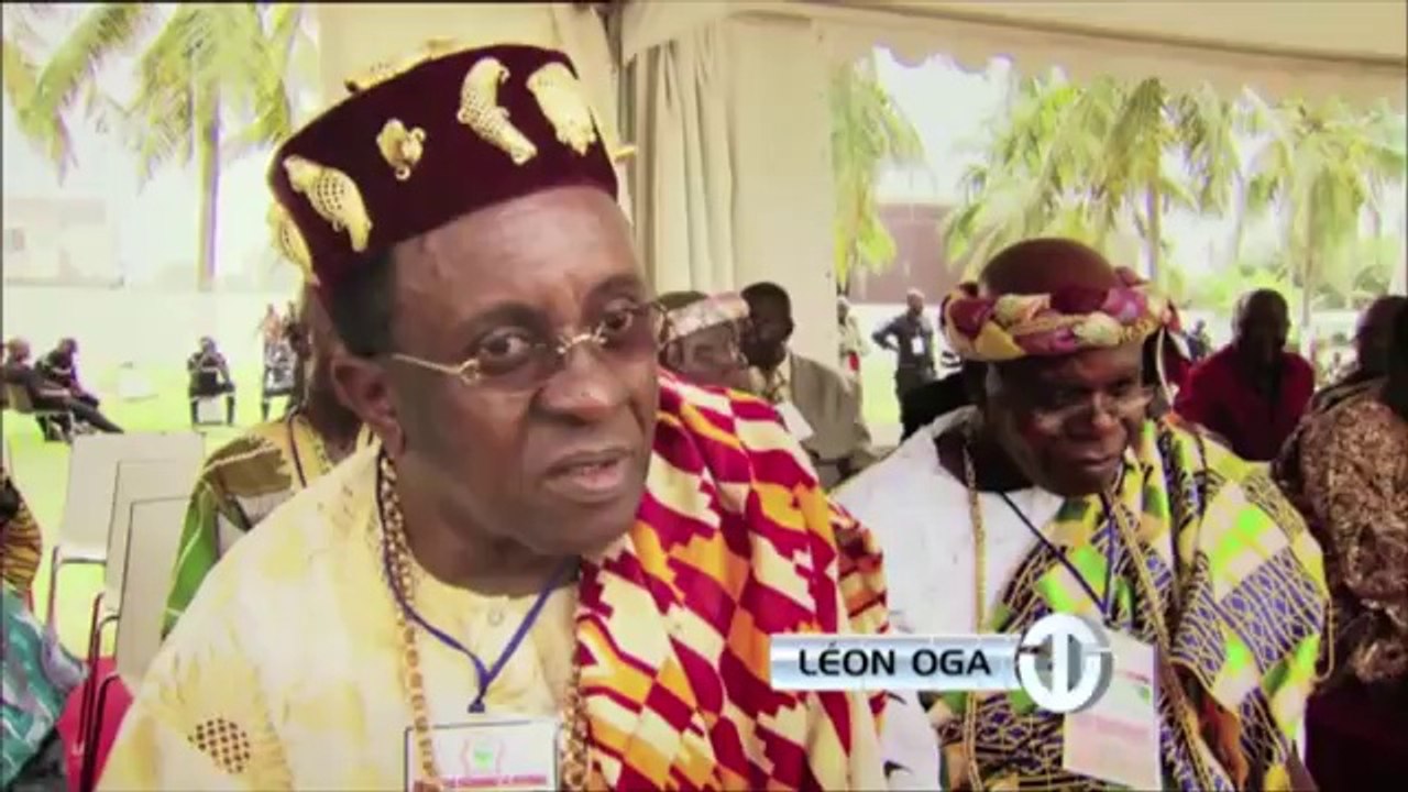 Didier Drogba - Cote d'Ivoire Football (2014 World Cup)