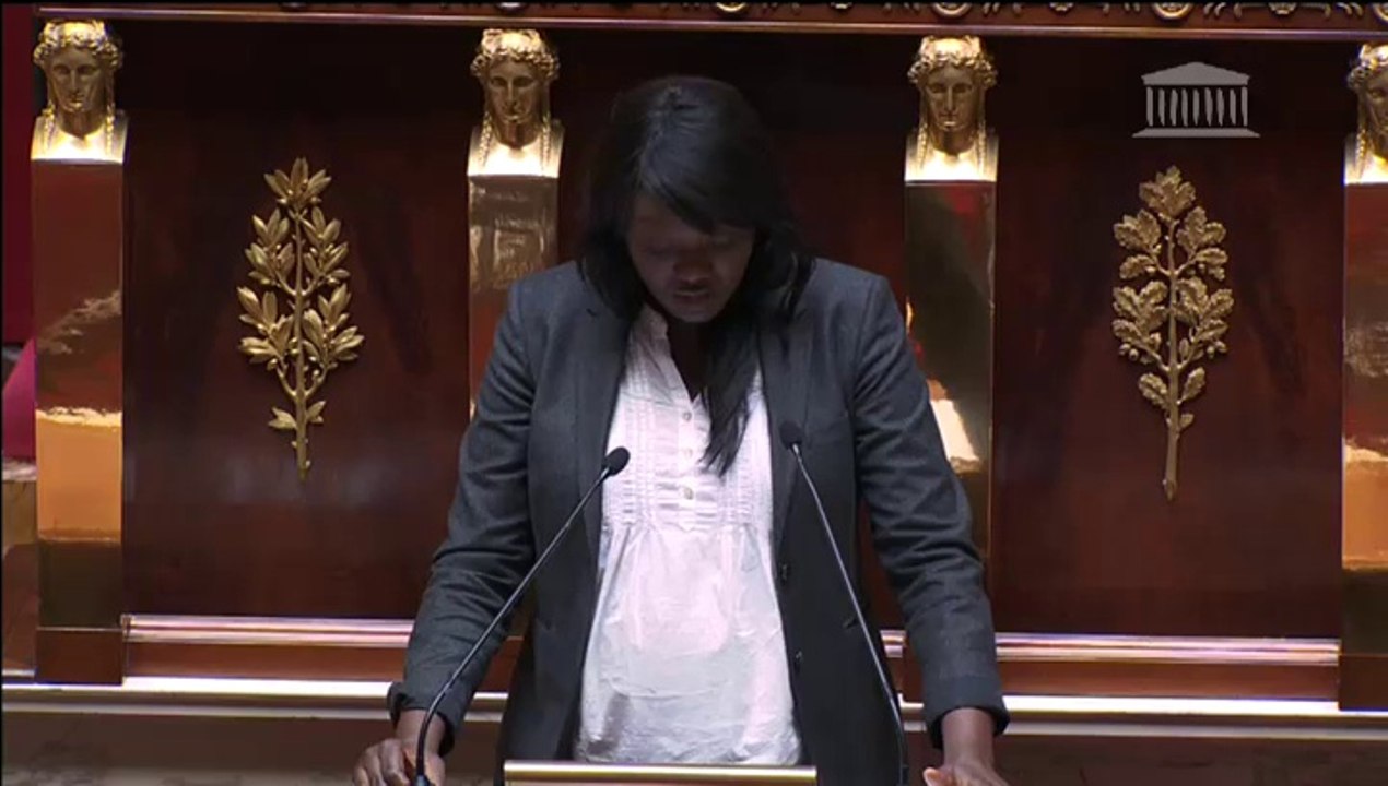 Seybah Dagoma - Séance publique - Partenariat transatlantique de commerce et d'investissement (TTIP) - 22 mai 2014