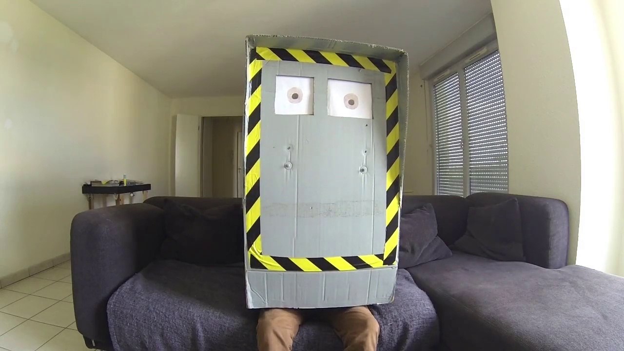 PromoGMD - INSA Lyon - Le pire cv vidéo 2014