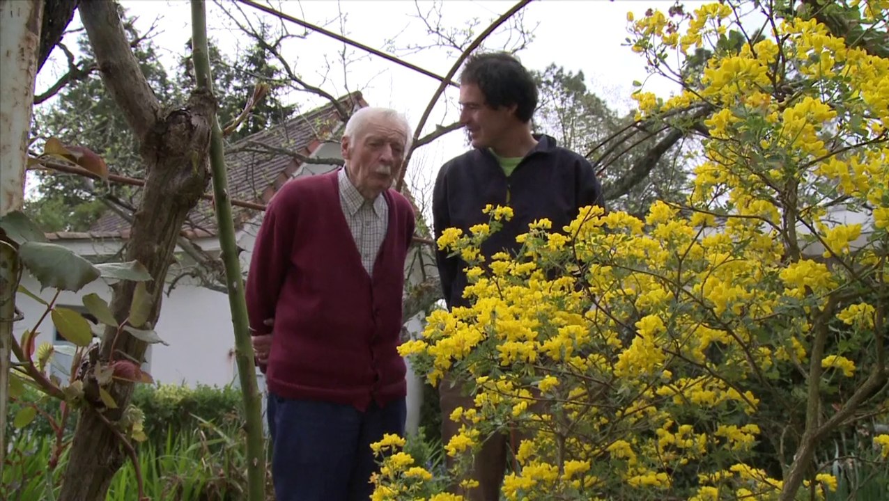 Flore de nos Pyrénées