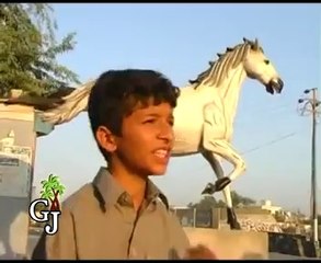 Rung Dilbar Man tahi Balochi Song Samina Kanwal