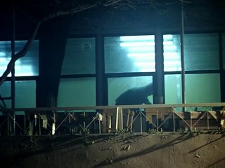 Tabutta Rövaşata - Bayramın Olsun