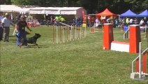 Agility trophée cibeins tania m1