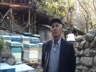 "ALMA KÖYLÜNÜN AHINI"