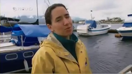 Killer Whales - Deadly But Social and Smart - Documentary