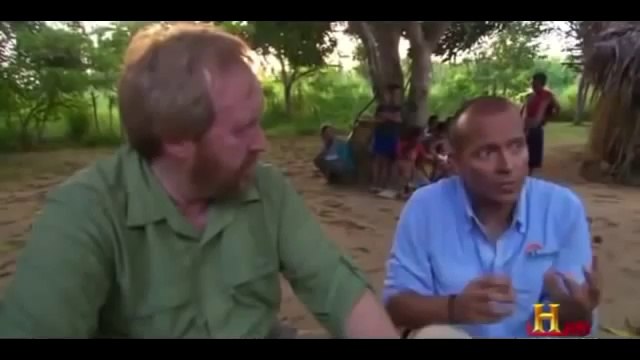 World Largest Spiders & other Huge Arachnids, creepy creatures (Documentary)