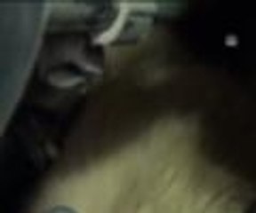 Otomobile sıkışan yavru köpek kurtarıldı