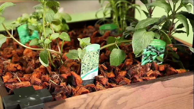 Jardins, Jardin : solutions optimisées pour les petits espaces