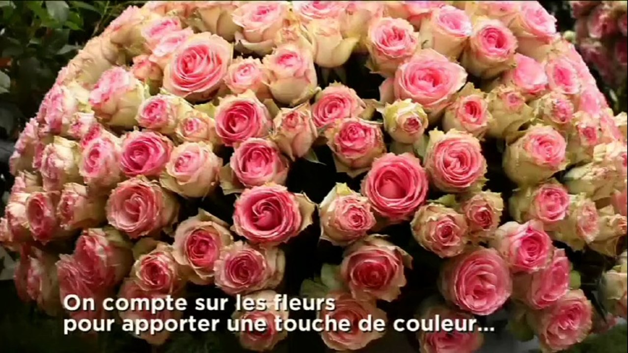 Jardins, Jardin : 5 clés pour se créer un jardin à la française