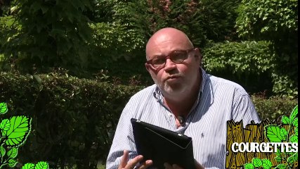 Soigner des plants de courgette