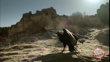 Okmeydanı’nda silah sesleri yükseldi