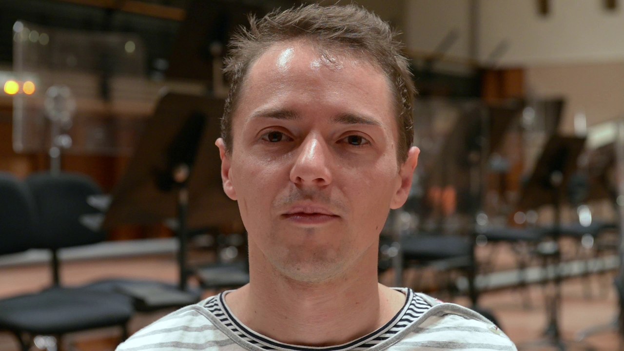 Le musicien dans l'orchestre - Georgi Varbanov