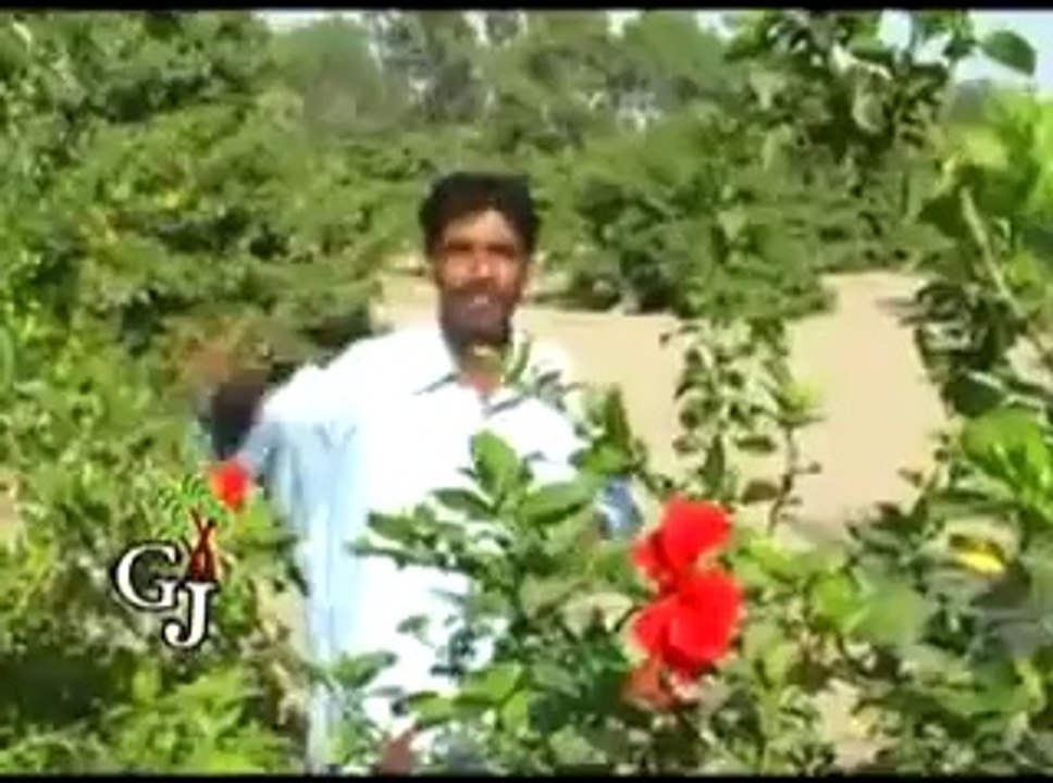 rasool bux fareed song