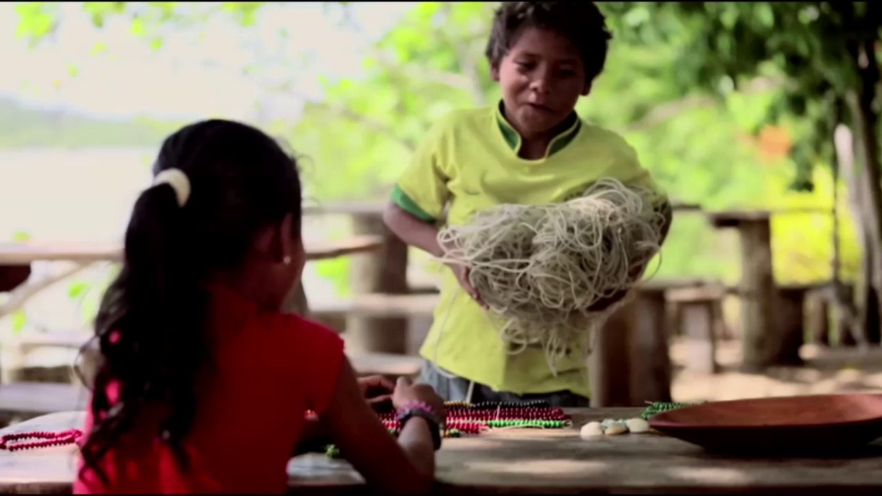Minute Brésilienne J-20