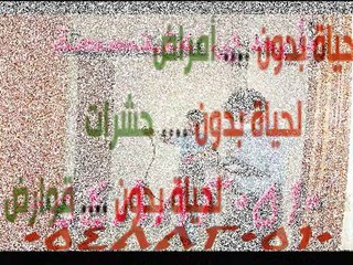 شركة مكافحة حشرات بالرياض 0548820510