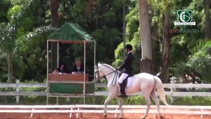 Thiago Fonseca dos Santos e Zagalo IGS no Campeonato Brasileiro Paraequestre 15-11-13