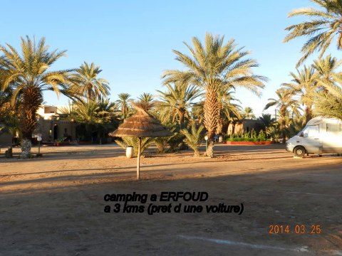 (Maroc 2014) ERFOUD et ses fossiles