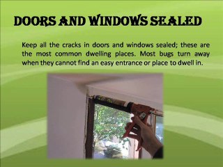 Pests control tips for a better home