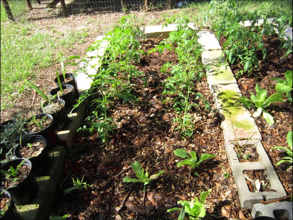 May 21, 2014 Farmer Dans Raised Beds Gardening 101