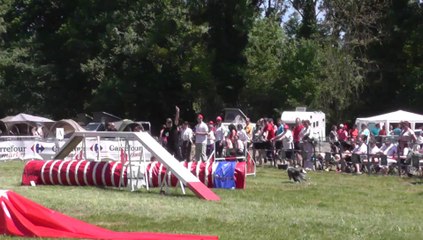 Daisy Sélectif Trophéé Cibiens M3