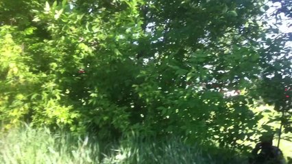 Вертольоти розстріляли Нацгвардію під Волновахою