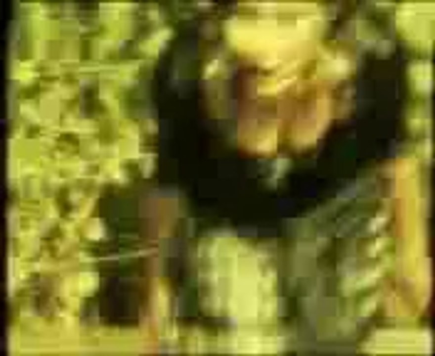 swad aj hor awe ga mujra