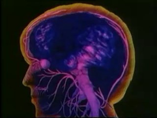 SİNİR SİSTEMİNİN SAĞLIĞI VE KORUNMASI