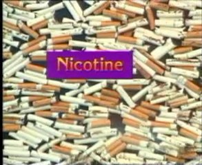 SOLUNUM SİSTEMİNİN SAĞLIĞININ KORUNMASI