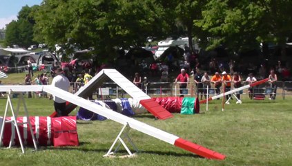 Smoothie Sélectif Trophéé Cibiens M3