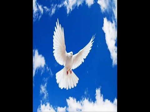Kabooter ki legs par danay (Zahr bad) Elaj by Dr.Ashraf Sahibzad