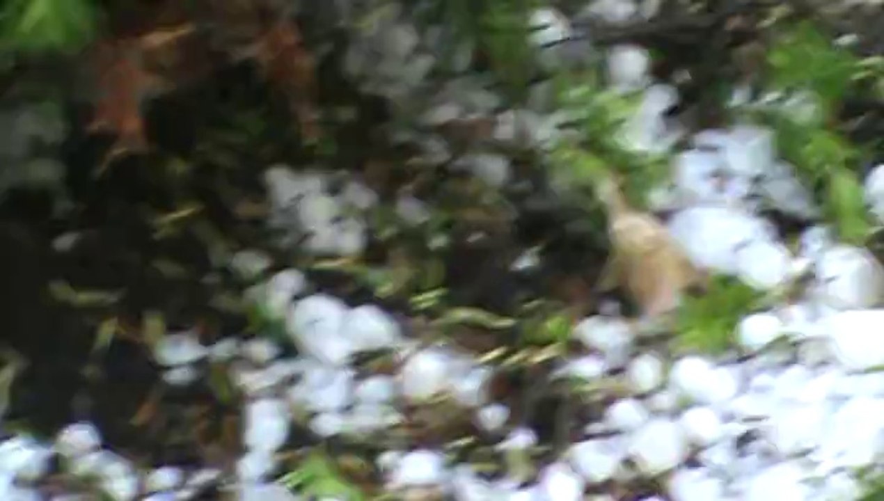 Hail Storm IV